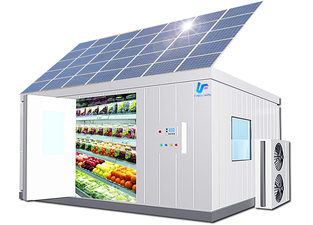 Solar Panel Powder Built-in Battery Deep Cold Freezer Room Storage